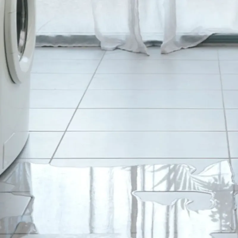 Appliance Leak Cleanup in Owenton, KY