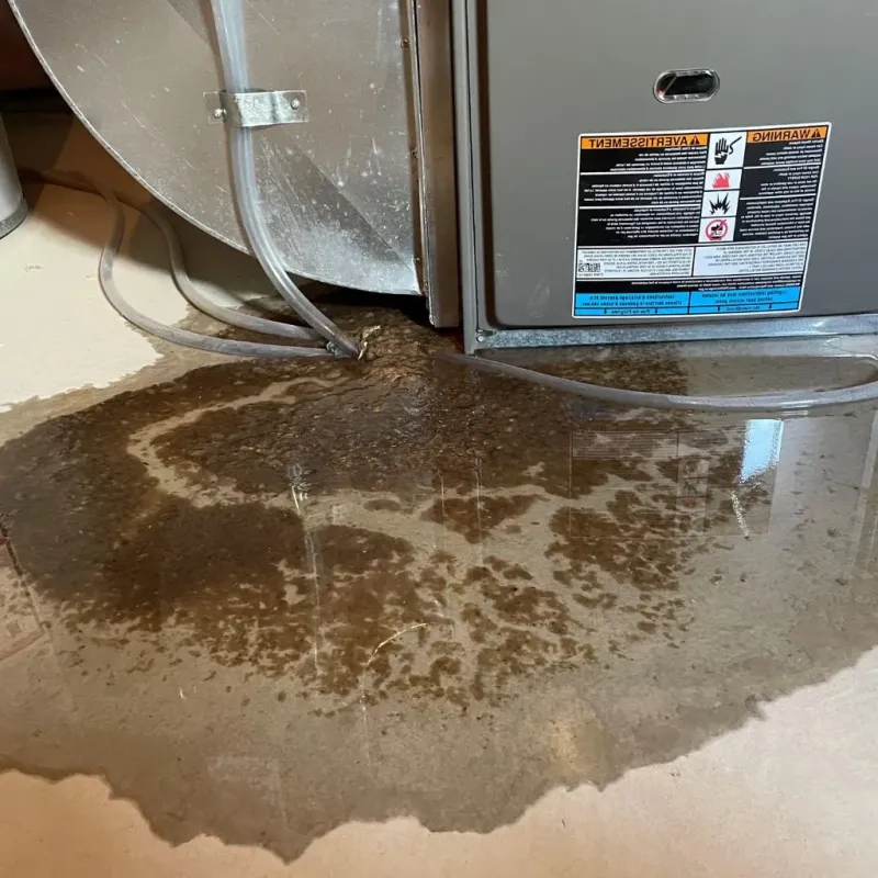 Pipe Burst and Leak Restoration in Owenton, KY