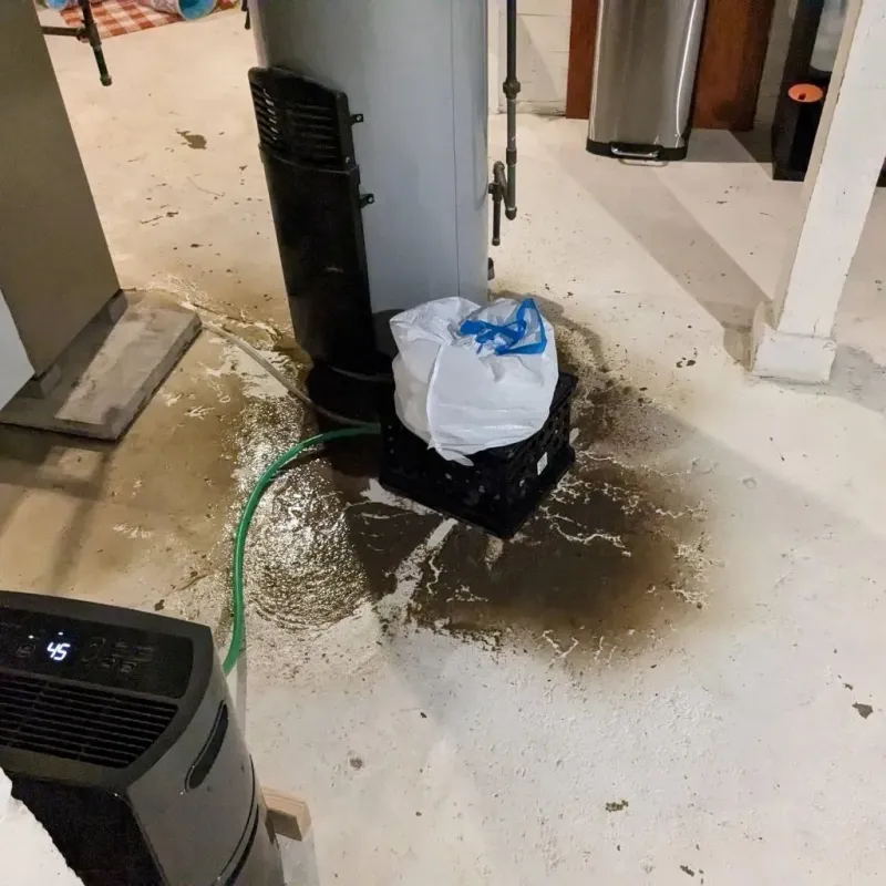 Sewage Backup Cleanup Service in Owenton, KY